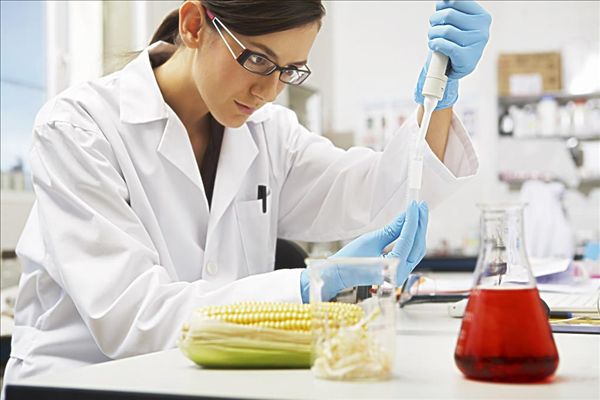 Product research and development